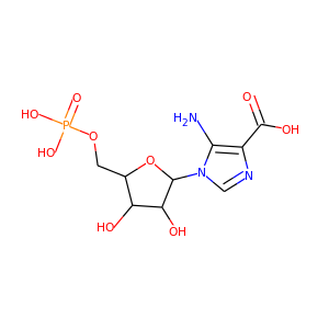 carboxyaminoimidazole ribonucleotide